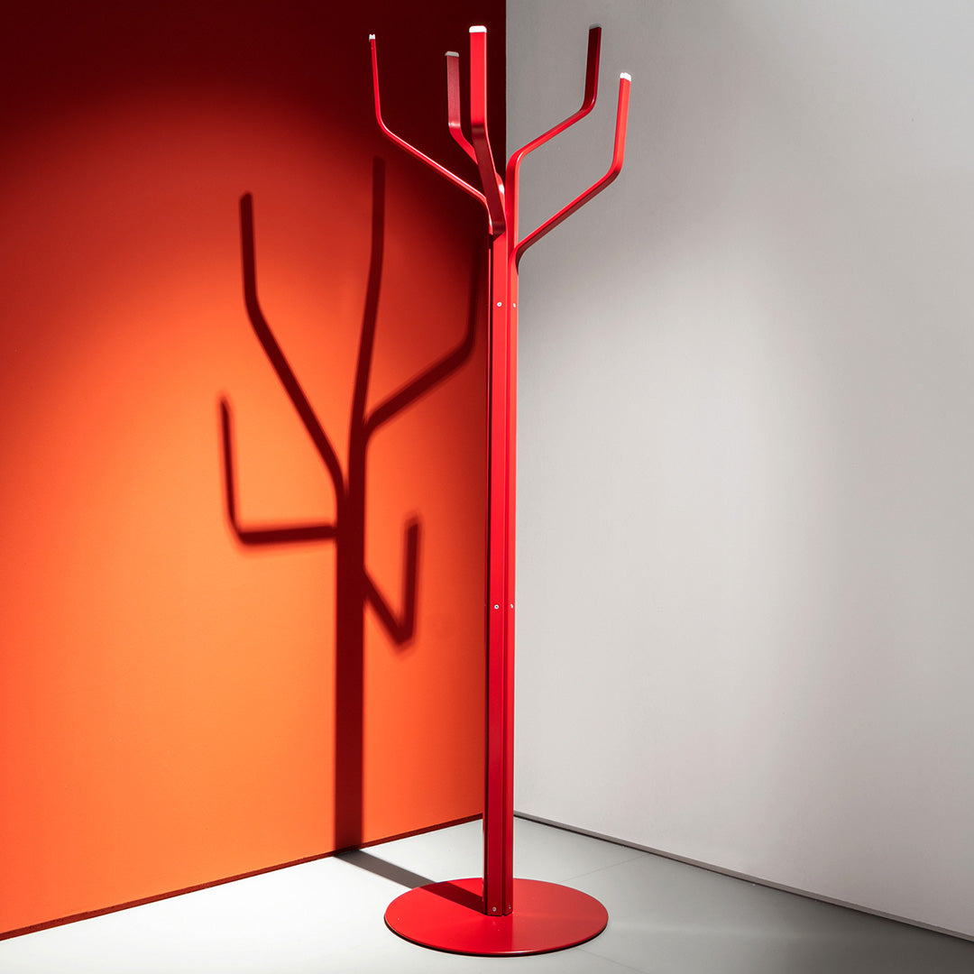 ALBERO