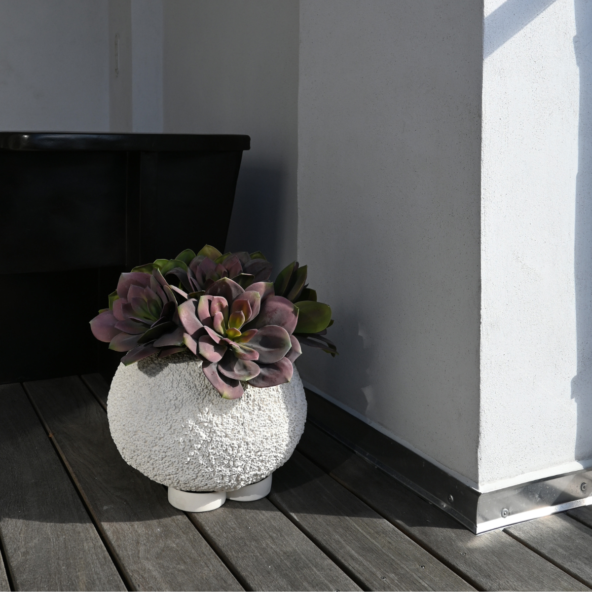 URCHIN PLANT POT MINI