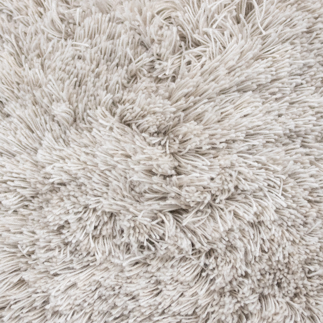 RUG CLASS