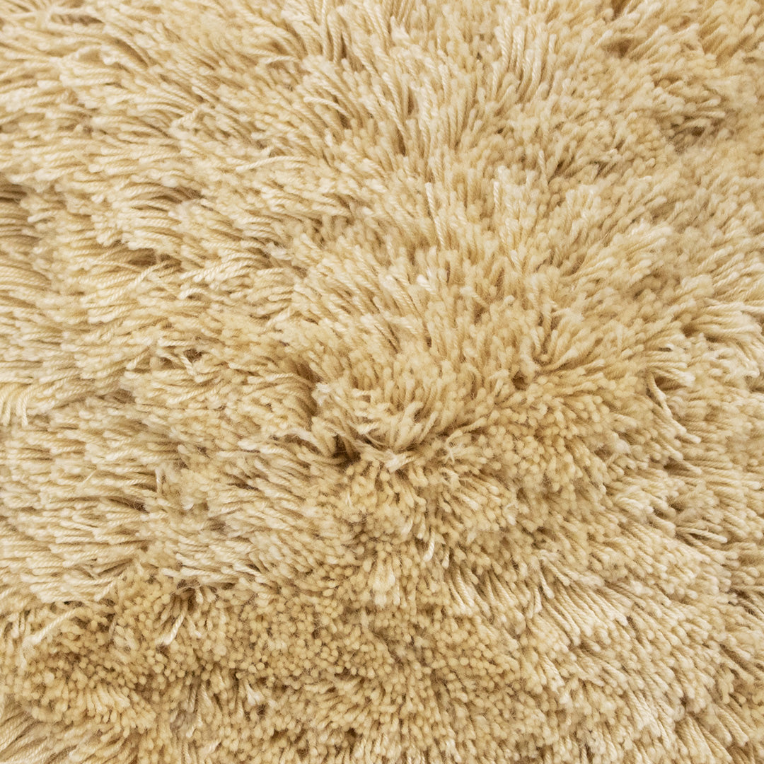 RUG CLASS