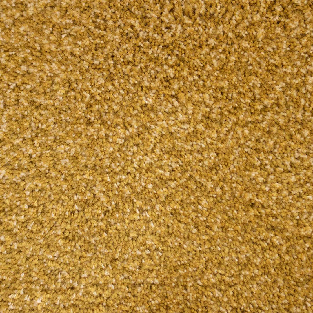 RUG SURMER