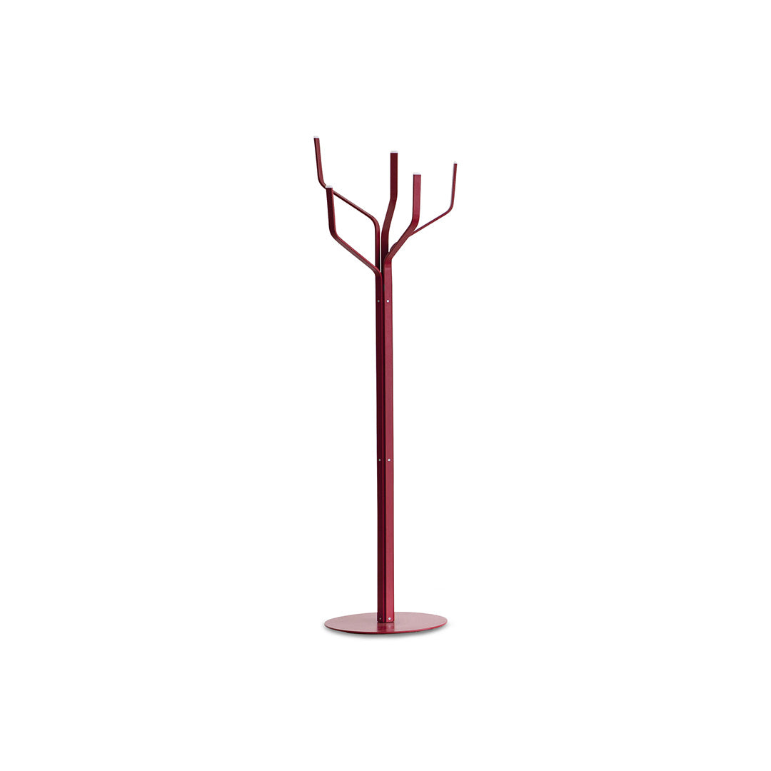ALBERO