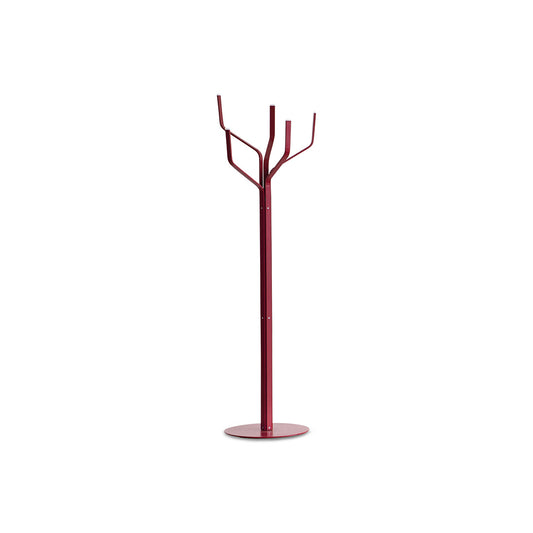 ALBERO