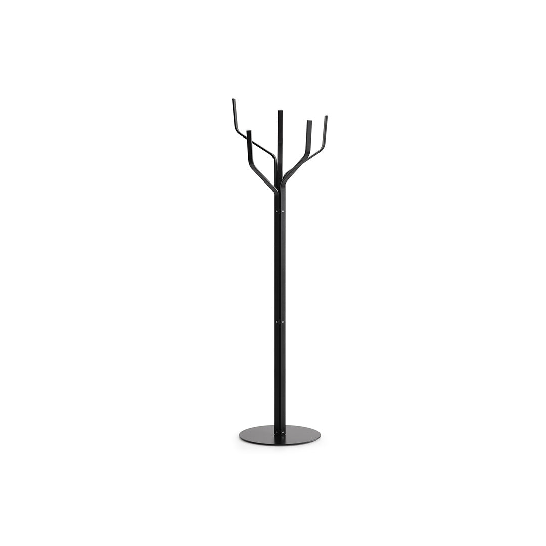 ALBERO