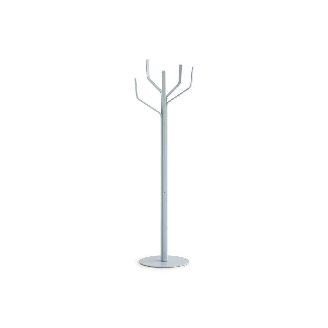 ALBERO