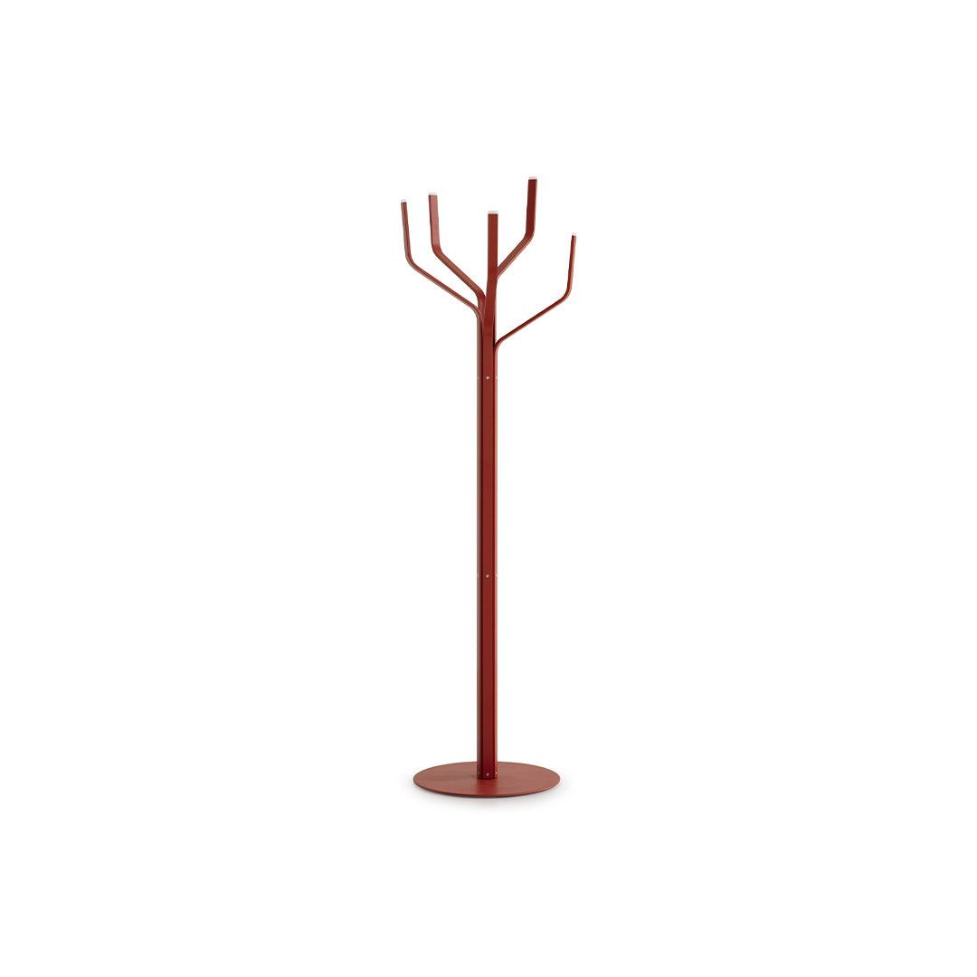 ALBERO