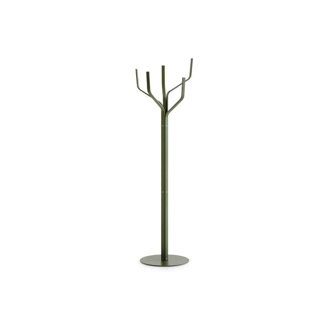 ALBERO