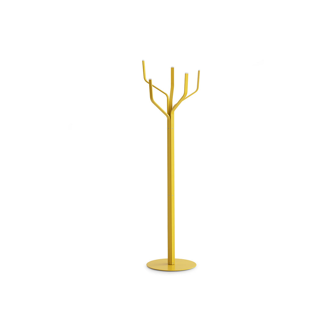 ALBERO