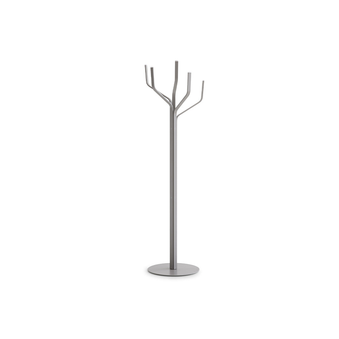 ALBERO