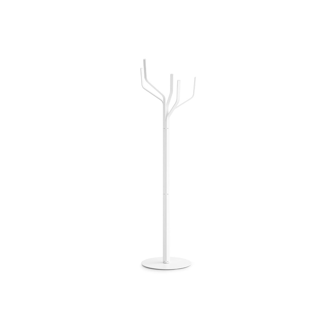 ALBERO