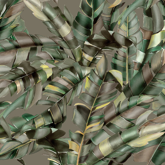 WALLPAPER CWC FLORIANOPOLIS